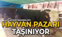 Hayvan pazarı taşınıyor