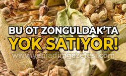 Bu ot Zonguldak'ta "yok" satıyor!