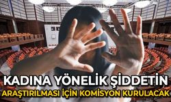 Kadına yönelik şiddetin araştırılması için meclis komisyonu kurulacak