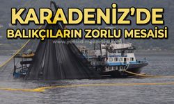 Karadeniz'de balıkçıların zorlu mesaisi