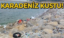 Karadeniz kustu: Derelerin getirdiği çöpleri geri gönderdi