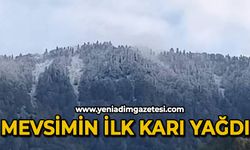 Zonguldak'ta mevsimin ilk karı yağdı