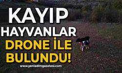 Kayıp hayvanlar dron ile bulundu