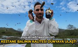 Kestane balının kalitesi dünyaya ulaştı