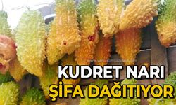 Kudret narı şifa dağıtıyor