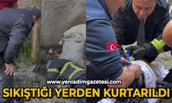 Sıkıştığı yerden kurtarıldı