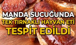 Manda sucuğunda tek tırnaklı hayvan eti tespit edildi