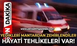 Yedikleri mantardan zehirlendiler: Hayati tehlikeleri var!