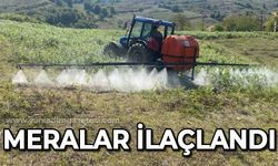 Meralarda ilaçlama çalışması