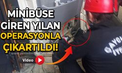 Park halinde minibüse giren yılan itfaiye ekiplerinin müdahalesiyle çıkarıldı