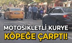 Motosikletli kurye köpeğe çarptı!