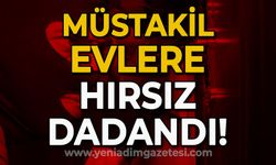 Zonguldak'ta müstakil evlere hırsız dadandı!