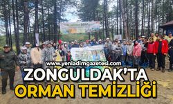 Zonguldak'ta orman temizliği