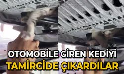 Otomobile giren kediyi tamircide çıkardılar