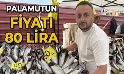 Palamutun fiyatı 80 liraya düştü