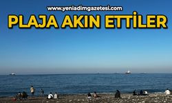 Plaja akın ettiler