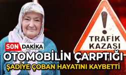 Otomobilin çarptığı 72 yaşındaki Şadiye Çoban hayatını kaybetti