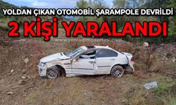 Yoldan çıkan otomobil şarampole devrildi: 2 yaralı