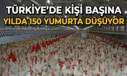 Türkiye'de kişi başına yılda 150 yumurta düşüyor