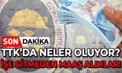 TTK'da neler oluyor: İşe gitmeden maaş aldılar!