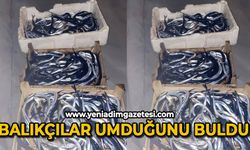 Balıkçılar umduğunu buldu