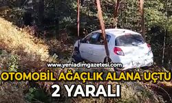 Otomobil, ağaçlık alana uçtu: 2 yaralı