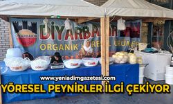 Yöresel peynirler ilgi çekiyor