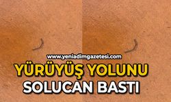 Yürüyüş yolunu solucanlar bastı