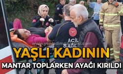 Mantar toplarken ayağı kırılan kadını ekipler kurtardı