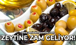 Zeytine zam geliyor!