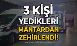 3 kişi yedikleri mantardan zehirlendi