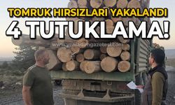 Tomruk hırsızları yakayı ele verdi: Tutuklandılar