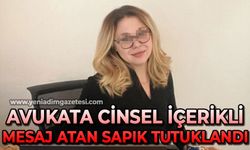 Avukata cinsel içerikli mesaj atan şahıs tutuklandı