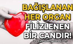 Ertuğrul Güner: Bağışlanan her organ, filizlenen bir candır