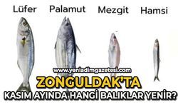 Zonguldak'ta Kasım ayında hangi balıklar yenir?