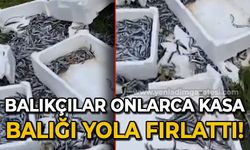 Zonguldak'ta balıkçılar onlarca kasa balığı yola fırlattı!