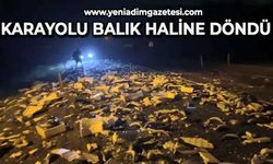 Karayolu balık haline döndü