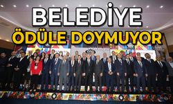 Belediye ödüle doymuyor