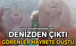 Denizden çıktı görenler hayrete  düştü