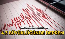 4.3 büyüklüğünde deprem