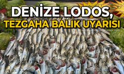 Denize lodos, tezgaha balık uyarısı