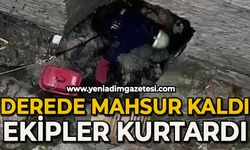 Derede mahsur kaldı: İtfaiye ekipleri kurtardı