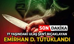 17 yaşındaki Hasan Ulaş Şen'i bıçaklayan Emirhan D. tutuklandı