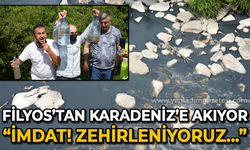 Filyos'tan Karadeniz'e akıyor: "İmdat! Zehirleniyoruz"