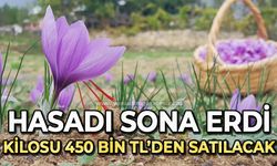 Hasadı sona eren safran 450 bin TL’den satılacak