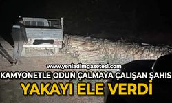 Kamyonetle odun çalmaya çalışan şahıs yakayı ele verdi