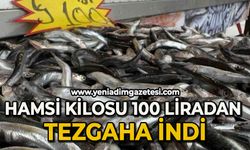 Hamsi kilosu 100 liradan tezgaha indi