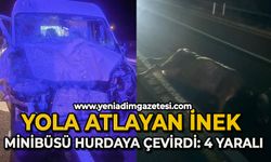 Yola atlayan inek minibüsü hurdaya çevirdi: 4 yaralı