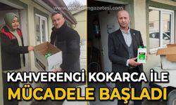 Kahverengi Kokarca ile mücadele başladı