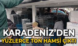 Karadeniz’den tonlarca hamsi çıktı